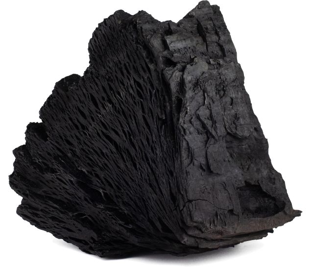 Misan Activated Charcoal