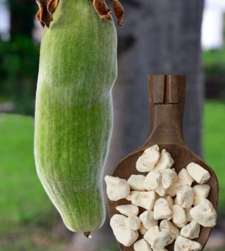 Baobab Fruit